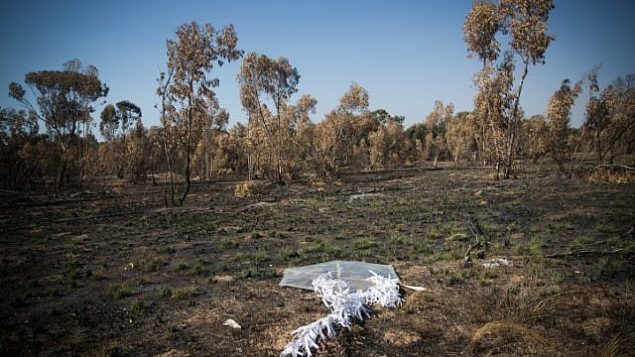 صورة لطائرة ورقية أطلقها الفلسطينيون إلى داخل حرش قريب من الحدود مع قطاع غزة، 5 يونيو، 2018. (Yonatan Sindel/Flash90)
