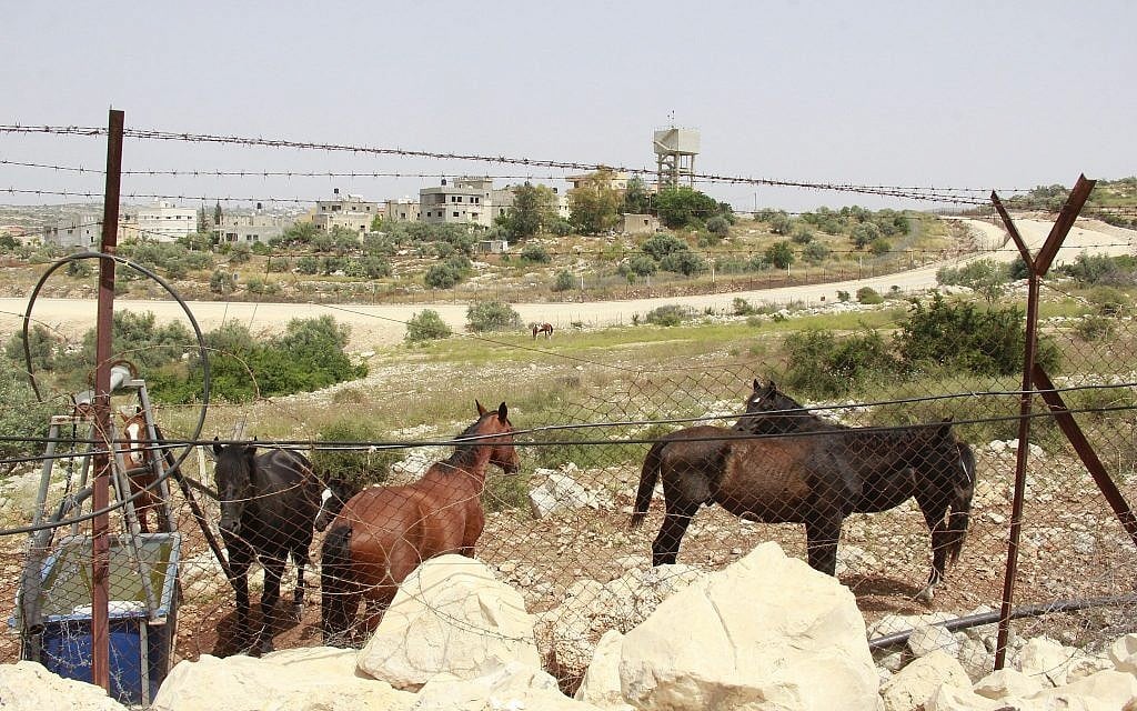 إسطبل خيول يقع على أرض فلسطينية خاصة في مستوطنة شعاري تيكفا بالضفة الغربية بعيدا عن متناول المزارعين من قرية سنيريا، الذين عملوا في الميدان منذ عقود. (Jacob Magid/Times of Israel إسطبل خيول يقع على أرض فلسطينية خاصة في مستوطنة شعاري تيكفا بالضفة الغربية بعيدا عن متناول المزارعين من قرية سنيريا، الذين عملوا في الميدان منذ عقود. (Jacob Magid/Times of Israel