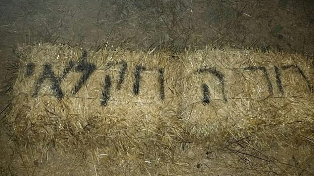 عبارى "أوقفوا الإرهاب الزراعي"، وجدت في اللغة العبرية في قرية بورين الفلسطينية، في شمال الضفة الغربية، في 8 يونيو 2018. (Yesh Din, courtesy)