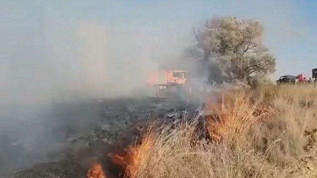 حريق في غابة بئيري ناجم عن بالون حارق تم إطلاقه من قطاع غزة في 18 أغسطس، 2018. (Screen capture: Twitter video)