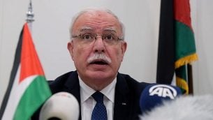 وزير الخارجية الفلسطيني، رياض المالكي، في مؤتمر صحفي في المحكمة الجنائية الدولية، 22 مايو، 2018. (AP Photo/Mike Corder)