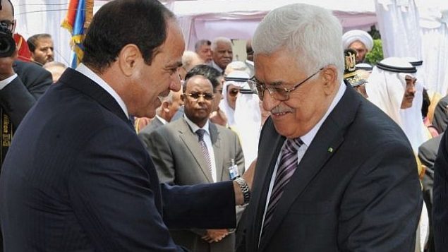 الرئيس المصري عبد الفتاح السيسي، يسار، يحيي رئيس السلطة الفلسطينية محمود عباس أثناء مراسم تنصيبه في القصر الرئاسي في القاهرة، مصر، في 8 يونيو 2014. (AP / MENA)