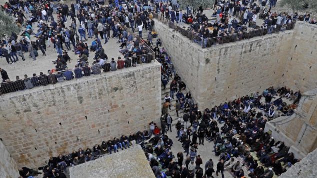 متظاهرون فلسطينيون يتجمعون قبل صلاة الجمعة في منطقة باب الرحمة في الحرم القدسي، 22 فبراير 2019 (AHMAD GHARABLI / AFP) متظاهرون فلسطينيون يتجمعون قبل صلاة الجمعة في منطقة باب الرحمة في الحرم القدسي، 22 فبراير 2019 (AHMAD GHARABLI / AFP)