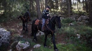 قوى الأمن في الموقع الذي عُثر فيه على جثة شابة في غابة عين ياعيل في القدس، 7 فبراير، 2019.  (Yonatan Sindel/Flash90)