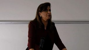 لقطة شاشة من مقطع فيديو لبروفسور نادرة شلهوب كيفوركيان، أستاذة العمل الاجتماعي والقانون في الجامعة العبرية في القدس، خلال عرض توضيحي. (YouTube)