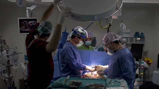 جراح القلب والأوعية الدموية الفلسطيني سليم حاج يحيى، خلال عملية قلب مفتوح في مستشفى جامعة النجاح في نابلس، الضفة الغربية، 28 يناير 2016 (AP/Majdi Mohammed)