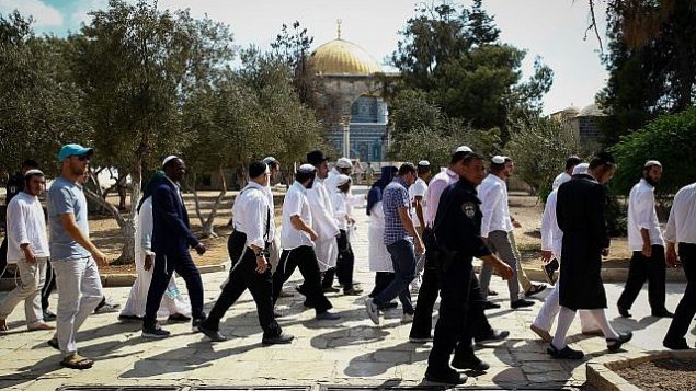 صورة توضيحية: قوات امن اسرائيلية ترافق يهود متدينين في زيارة للحرم القدسي خلال يوم الغفران، 19 سبتمبر 2019 (Sliman Khader/Flash90)