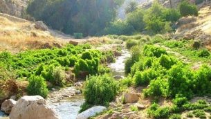 وادي القلط (ناحال بارت)، محمية طبيعية ومتنزه في صحراء يهودا، إسرائيل.  (Public domain/Wikipedia)