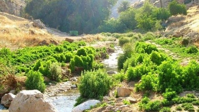 وادي القلط (ناحال بارت)، محمية طبيعية ومتنزه في صحراء يهودا، إسرائيل.  (Public domain/Wikipedia)