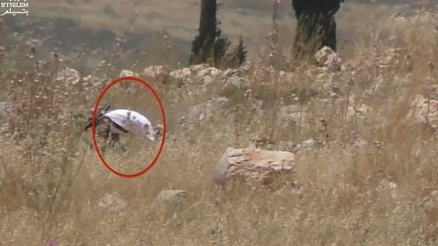 لقطة شاشة من مقطع فيديو يظهر فيها كما يُزعم جندي إسرائيلي خارج الخدمة يقوم بإشعال البنار في حقل تابع لمزراغين فلسطينيين في شمال الضفة الغربية، 17 مايو، 2019. (YouTube)