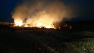 حريق في منطقة اشكول في جنوب اسرائيل، 1 مايو 2019 (Tzvika Korbeshi/Eshkol Regional Council)