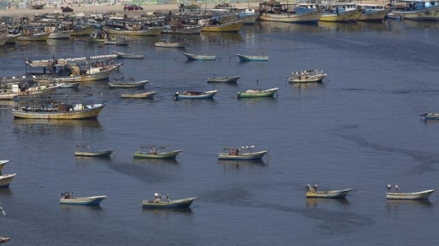 قوارب صيد اسماك في ميناء غزة، 13 يونيو 2019 (AP/Hatem Moussa)