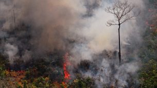 صورة جوية تظهر حريق في غابات الأمازون، شمال البرازيل، 23 اغسطس 2019 (CARL DE SOUZA / AFP)