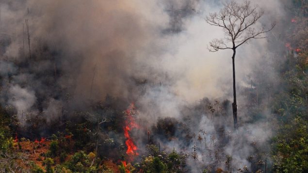 صورة جوية تظهر حريق في غابات الأمازون، شمال البرازيل، 23 اغسطس 2019 (CARL DE SOUZA / AFP)