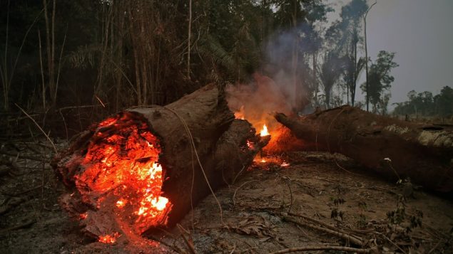 حريق في غابات الأمازون، شمال البرازيل، 24 اغسطس 2019 (CARL DE SOUZA / AFP)