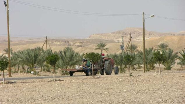 مركبة زراعية في منطقة تسوفار  (الغمر) بمنطقة العربة، على الحدود الإسرائيلية الأردنية، اجرها الأردن لإسرائيل ضمن اتفاقية السلام لعام 1994، فبراير 2007. (Chaver83 / Wikimedia Commons)