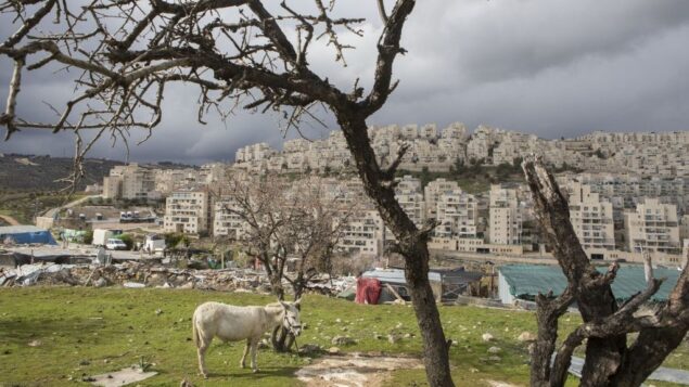 حي هار حوما اليهودي في القدس الشرقية، 15 فبراير 2017 (AP Photo / Dan Balilty)