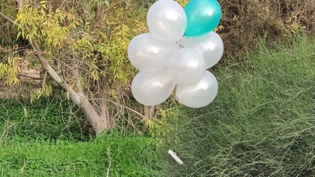مجموعة بالونات تحمل ما يُشتبه بأنها عبوة ناسفة تم إطلاقها من قطاع غزة وهبطت في جنوب إسرائيل، 16 يناير، 2020.(Courtesy)