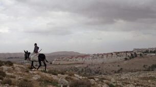 توضيحية: صبي فلسطيني يمتطي حمارا بالقرب من معبر المستوطنات E1، مع مستوطنة معاليه أدوميم في الخلفية. (AP/Sebastian Scheiner)