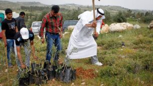 توضيحية: مسؤولون فلسطينيون إلى جانب نشطاء سلام إسرائيليين ودوليين يغرسون أشجارا بالقرب من مجمع بيت البركة كجزء من الاحتجاجات على استيلاء مستوطنين إسرائيليين على الأرض، 9 أبريل، 2016. (Wisam Hashlamoun/Flash90)