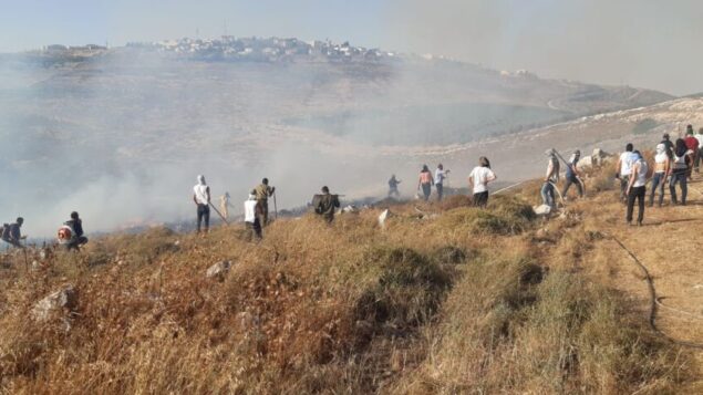 مستوطنون من بؤرة جفعات رونين الاستيطانية يعملون على إخماد حريق خارج بؤرتهم، 17 يونيو 2020 (Israel Fire and Rescue Services)