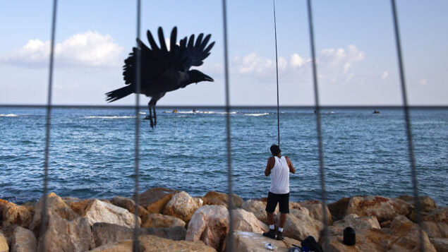 صياد يلقي صنارته على أحد شواطئ  في تل أبيب، 26 سبتمبر، 2020. (AP Photo / Oded Balilty)