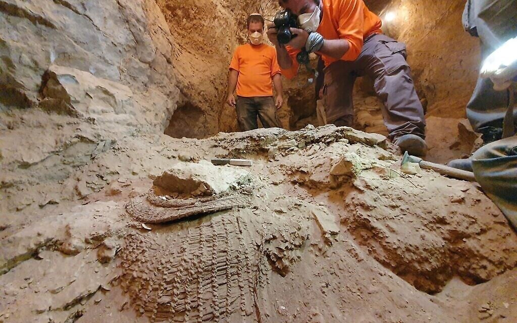 السلة كما وُجدت في كهف المربعات. (Yoli Schwartz, Israel Antiquities Authority)