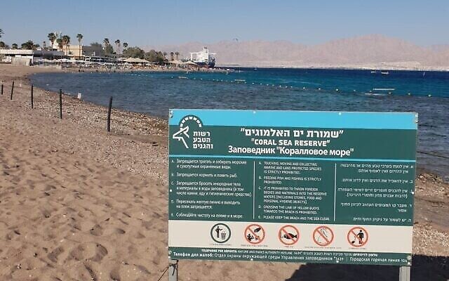 ناقلة نفط ترسو في ميناء تابعة لشركة أوروبا آسيا لخطوط الأنابيب، بالقرب من محمية الشعاب المرجانية الطبيعية في إيلات في جنوب إسرائيل.(Society for the Protection of Nature)