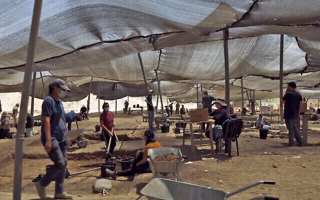 حفريات سلطة الآثار الإسرائيلية في يافني. .  (Emil Aladjem/Israel Antiquities Authority)