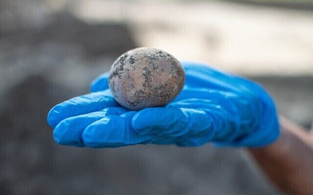بيضة عمرها 1000 عام تم العثور عليها في أعمال تنقيب أثرية في يافني. (Yoli Schwartz/Israel Antiquities Authority)
