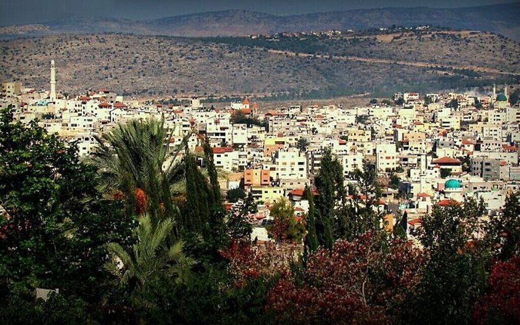سخنين (كاميليا بدارنة، مركز لهفا سخنين)