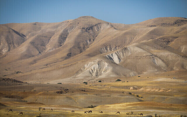 صورة توضيحية لغور الاردن، 14 يونيو 2020 (Yonatan Sindel / Flash90)