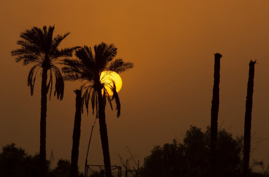 أشجار النخيل عند غروب الشمس بالقرب من شط العرب في مدينة البصرة جنوب العراق، 7 يوليو 2022 (HUSSEIN FALEH / AFP) أشجار النخيل عند غروب الشمس بالقرب من شط العرب في مدينة البصرة جنوب العراق، 7 يوليو 2022 (HUSSEIN FALEH / AFP)
