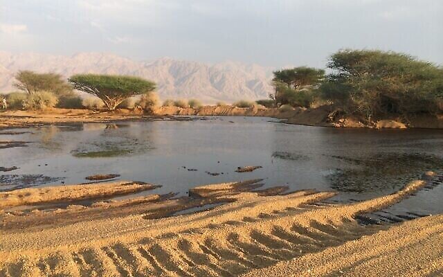 التسرب النفطي الهائل في محمية عيفرونا الطبيعية عام 2014. (Environmental Protection Ministry)