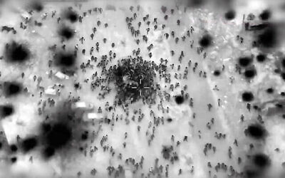 لقطات من الجو تظهر حشودا تتدافع على شاحنات المساعدات في شمال غزة، تم نشرها في 29 فبراير، 2024.(Israel Defense Forces)