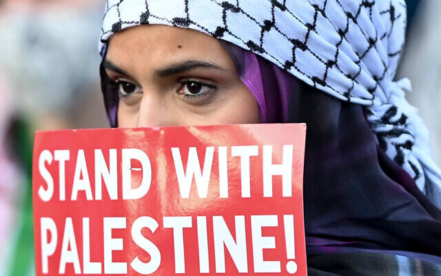 مظاهرة بالقرب من المؤتمر الوطني الديمقراطي في شيكاغو، إلينوي، 22 أغسطس 2024. (AP/Noah Berger)