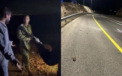 قائد الكتيبة 7114 التابعة للواء بنيامين الإقليمي يجادل مستوطنين بالقرب من قرية كفر مالك بالضفة الغربية (في الصورة على اليسار)، وحجارة ألقاها مستوطنون في المنطقة (في الصورة على اليمين)، 28 يونيو 2025.  (Courtesy)