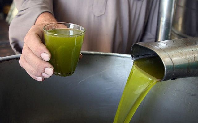 Illustrative: Olives are crushed to make olive oil in the West Bank vilage of Beit Ola near Hebron, on October 24, 2010. (Najeh Hashlamoun/ Flash90)