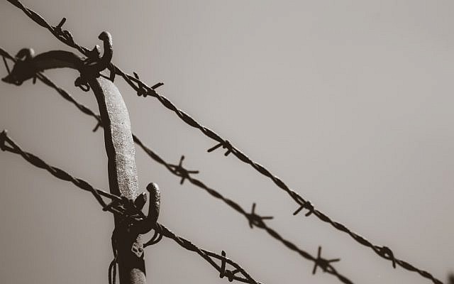 Barbed wire (via iStock)