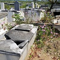 The graves look like this at the United Hebrew Congregation cemetery since there are hardly any Jews to look after it. Copyright Rayna Rose Exelbierd The graves look like this at the United Hebrew Congregation cemetery since there are hardly any Jews to look after it. Copyright Rayna Rose Exelbierd