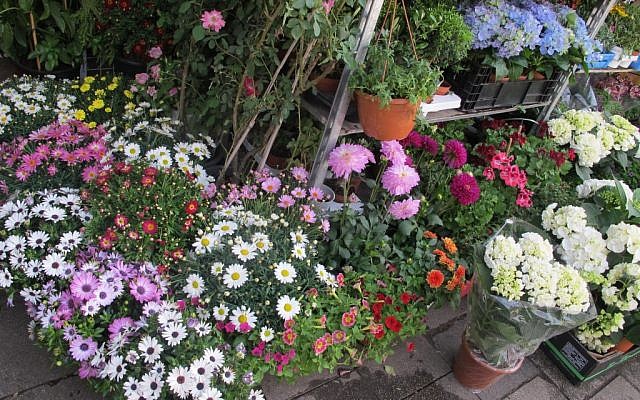 Jerusalem florist, pre-Passover, March 2018. (Heddy Abramowitz)