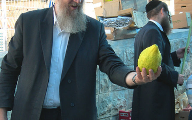 How big is YOUR etrog?