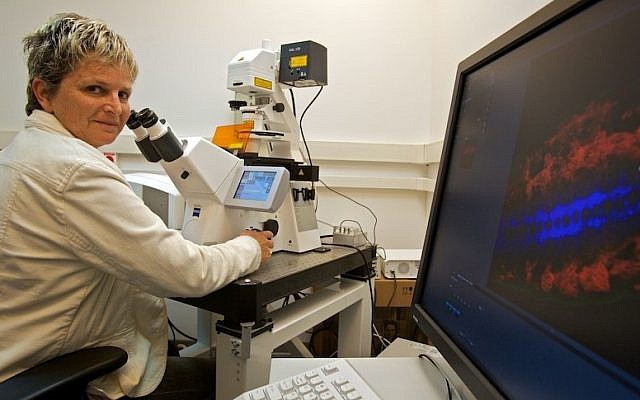 A scientist at the Weizmann Institute works with a microscope (Photo credit: Doron Horowitz/Flash90)