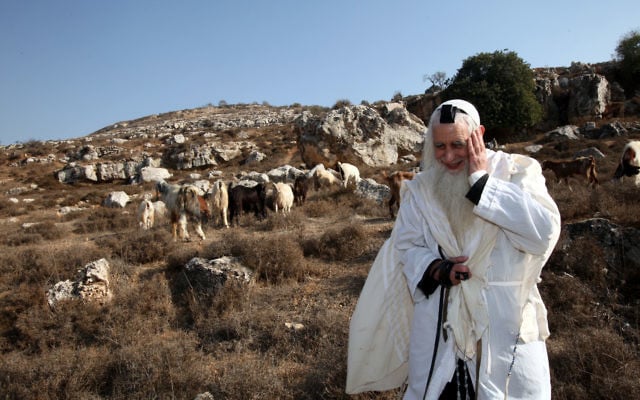 Master of prayer and master of the field. The late Rabbi Menachem Froman (photo credit: Yossi Zamir/Flash90) Master of prayer and master of the field. The late Rabbi Menachem Froman (photo credit: Yossi Zamir/Flash90)