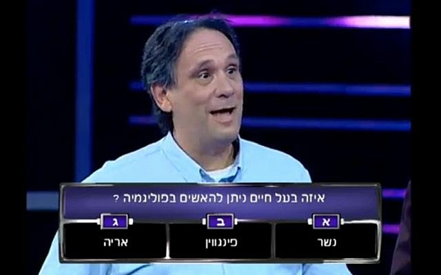 Micha Odenheimer knew that lions, not penguins or eagles, were polygamous, and hence he won more money than a South Asian villager earns in a year. (image from Ehad Neged Meah game show) Micha Odenheimer knew that lions, not penguins or eagles, were polygamous, and hence he won more money than a South Asian villager earns in a year. (image from Ehad Neged Meah game show)