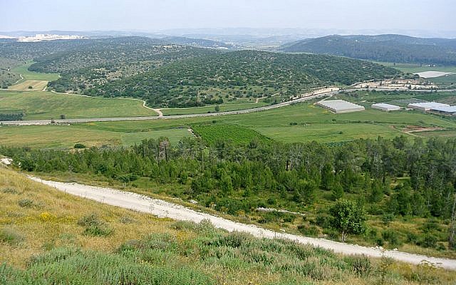 Valley of Elah viewed from the top of Tel Azeka. (Wikimedia Commons)