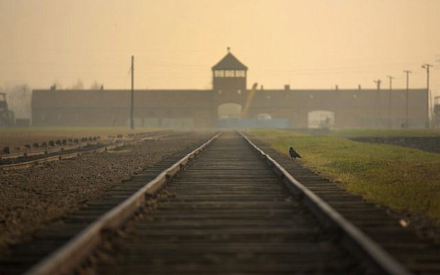 The railway track leading to the infamous ‘Death Gate’ at the Auschwitz II Birkenau extermination camp on November 13, 2014, in Oswiecim, Poland. (JTA/Christopher Furlong/ Getty Images/File)