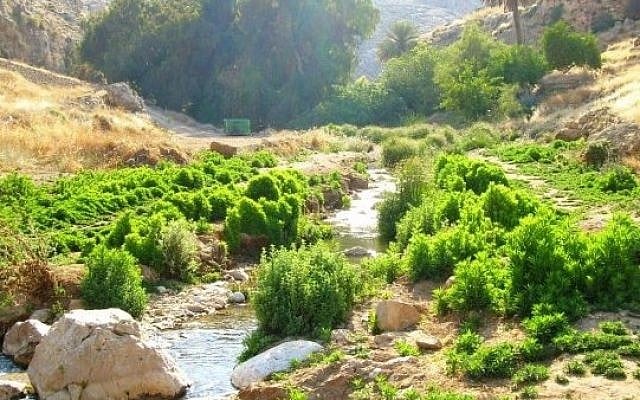 Nahal Prat (Wadi Kelt), a nature reserve and park in the Desert of Judea, Israel (Public domain/Wikipedia)