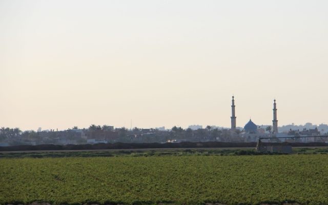 The view from our side, to theirs; the fields under which tunnels grow.