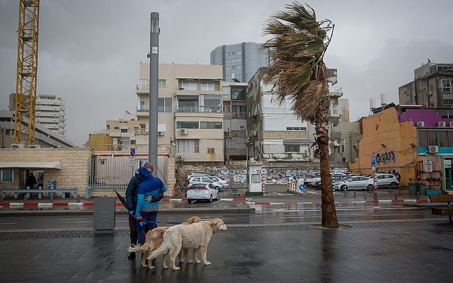 The beach in Tel Aviv on a stormy winter day in Tel Aviv, January 5, 2018. (Miriam Alster/ FLASH90)